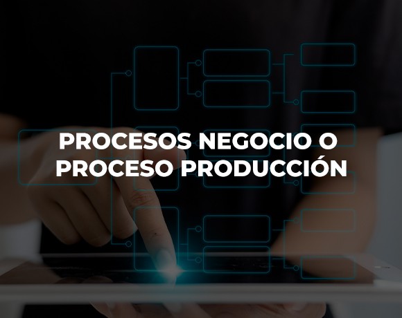 Procesos Negocio o Proceso Producción